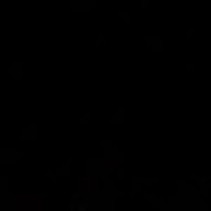 Meet your Posher, Julissa